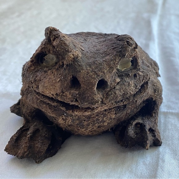 Horse Manure Toad  "Toad Stool" - Picture 3 of 4